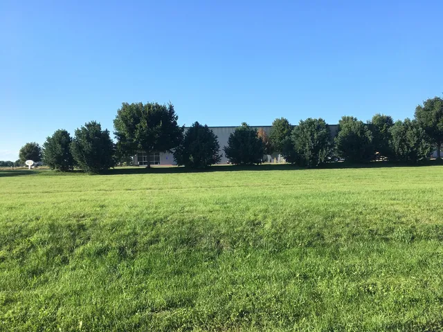 a view of a green field with trees in the background