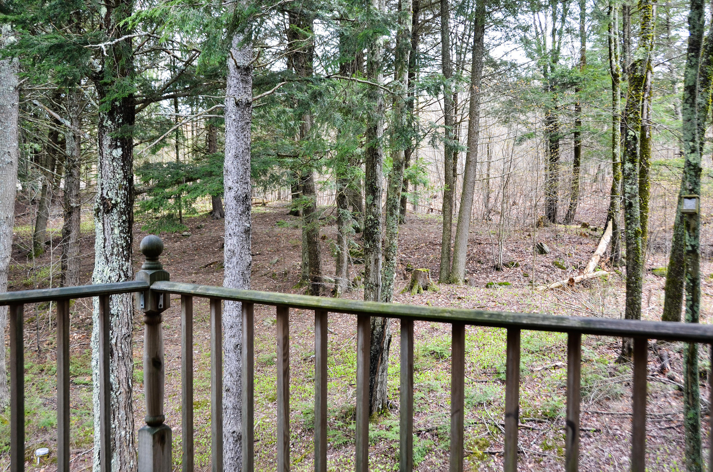 2241 No Palermo Road Palermo, ME 04354 - Photo 47 of 57 0048KRPHOTO-2019-DSC_0173