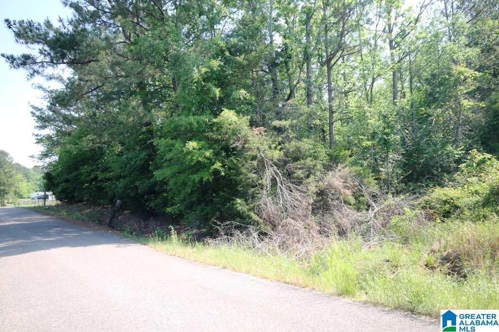 2654 Mayfield Road, Unit 4 44 Lincoln, AL 35096 - Photo 8 of 17