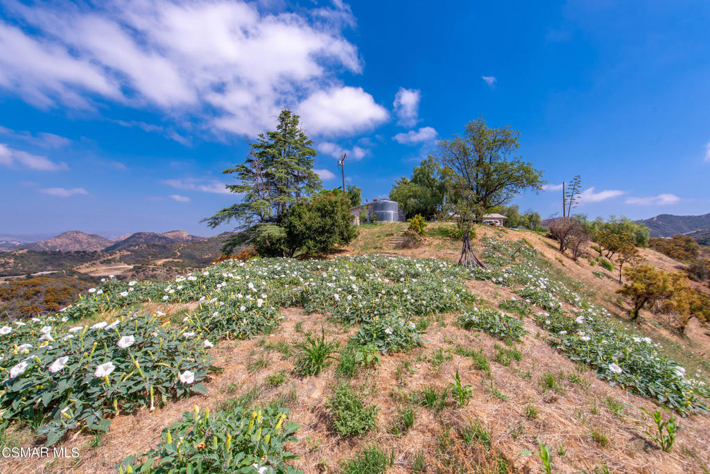102 West Carlisle Road Thousand Oaks, CA 91361 - Photo 18 of 55