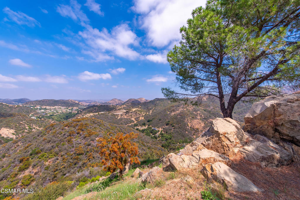 102 West Carlisle Road Thousand Oaks, CA 91361 - Photo 20 of 55
