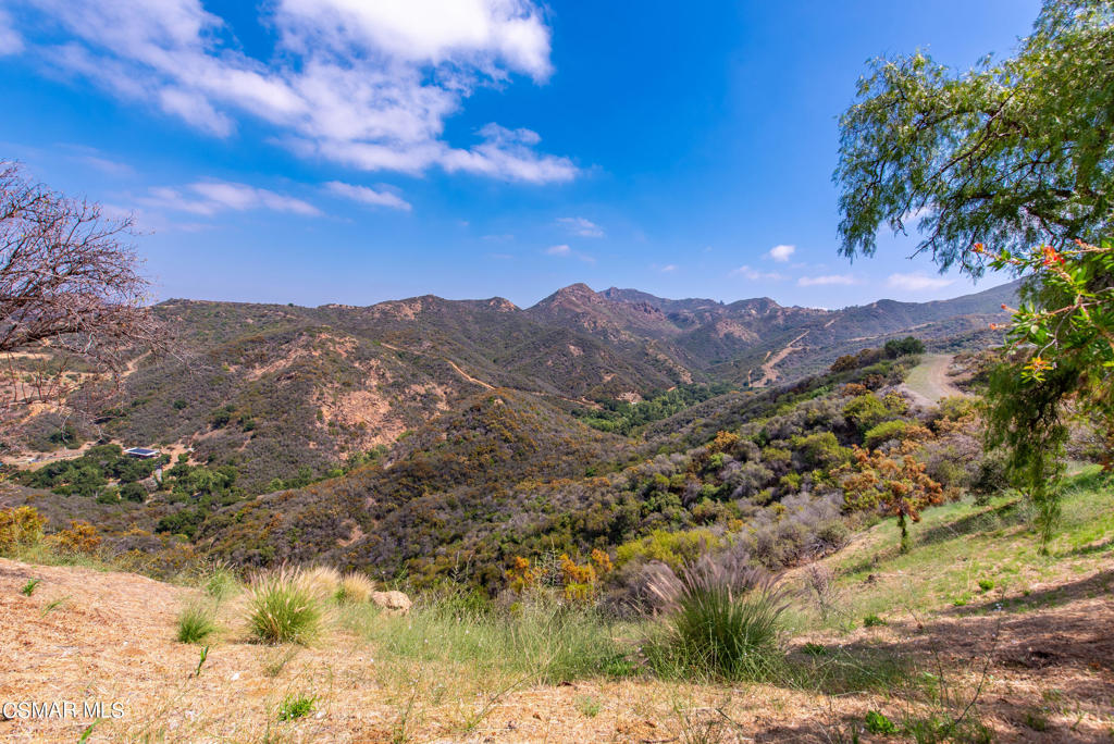 102 West Carlisle Road Thousand Oaks, CA 91361 - Photo 23 of 55