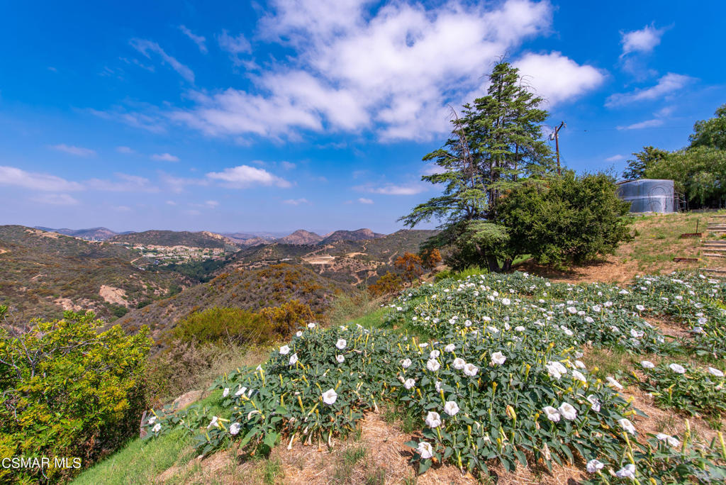 102 West Carlisle Road Thousand Oaks, CA 91361 - Photo 24 of 55