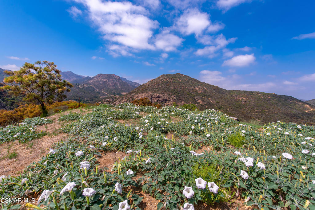 102 West Carlisle Road Thousand Oaks, CA 91361 - Photo 25 of 55