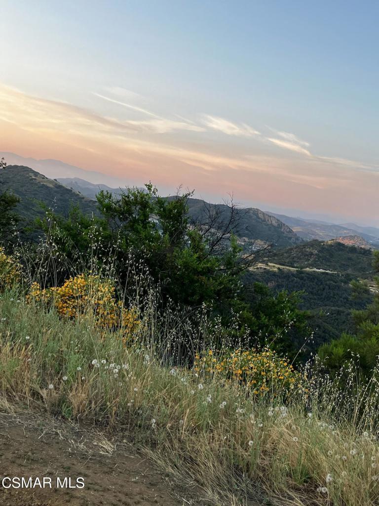 102 West Carlisle Road Thousand Oaks, CA 91361 - Photo 33 of 55