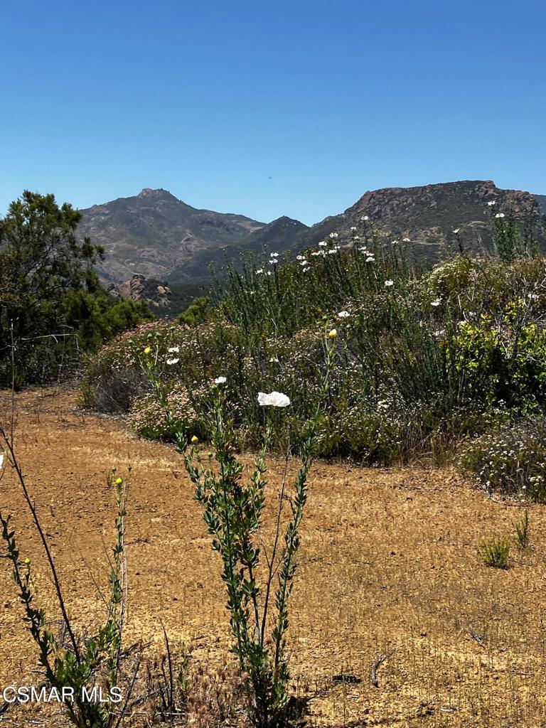 102 West Carlisle Road Thousand Oaks, CA 91361 - Photo 35 of 55