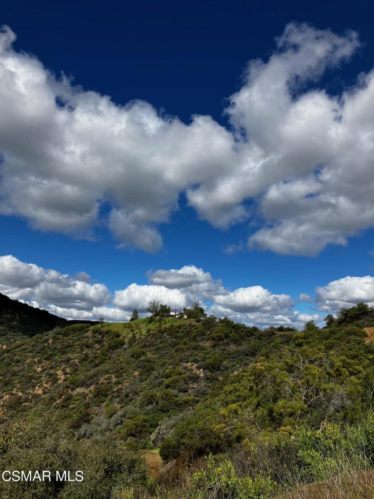 102 West Carlisle Road Thousand Oaks, CA 91361 - Photo 41 of 55