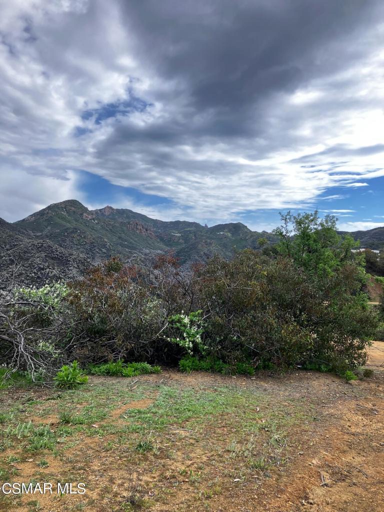 102 West Carlisle Road Thousand Oaks, CA 91361 - Photo 42 of 55