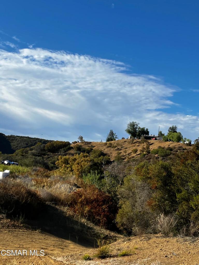 102 West Carlisle Road Thousand Oaks, CA 91361 - Photo 45 of 55