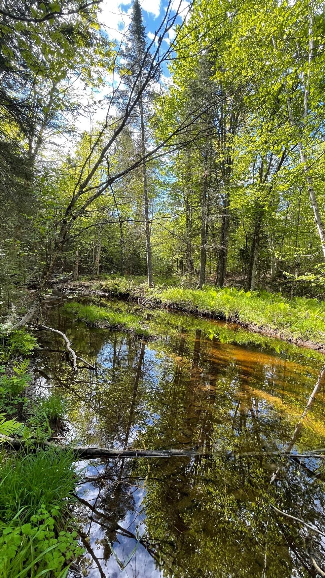 339 Long Pond Road Jackman, ME 04945 - Photo 6 of 30