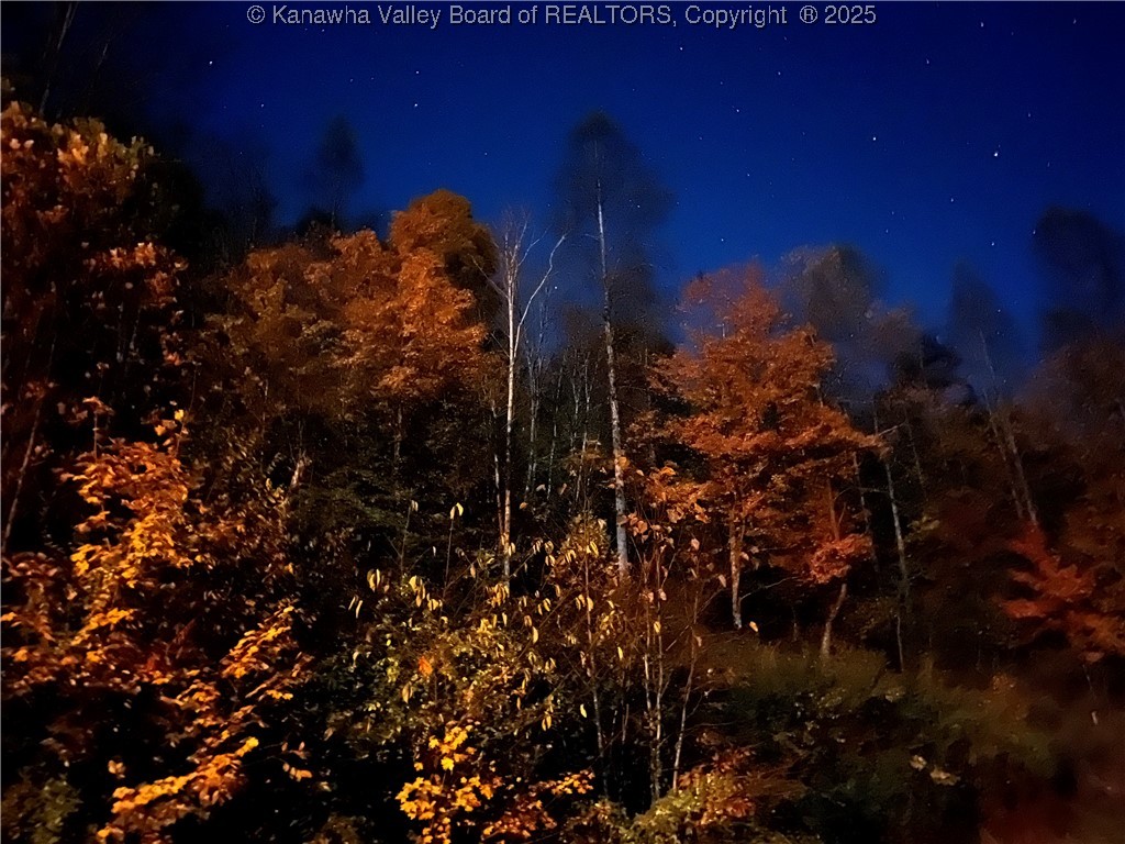 1459 Big Run Road Le Roy, WV 25252 - Photo 48 of 50 Gallery Image 48