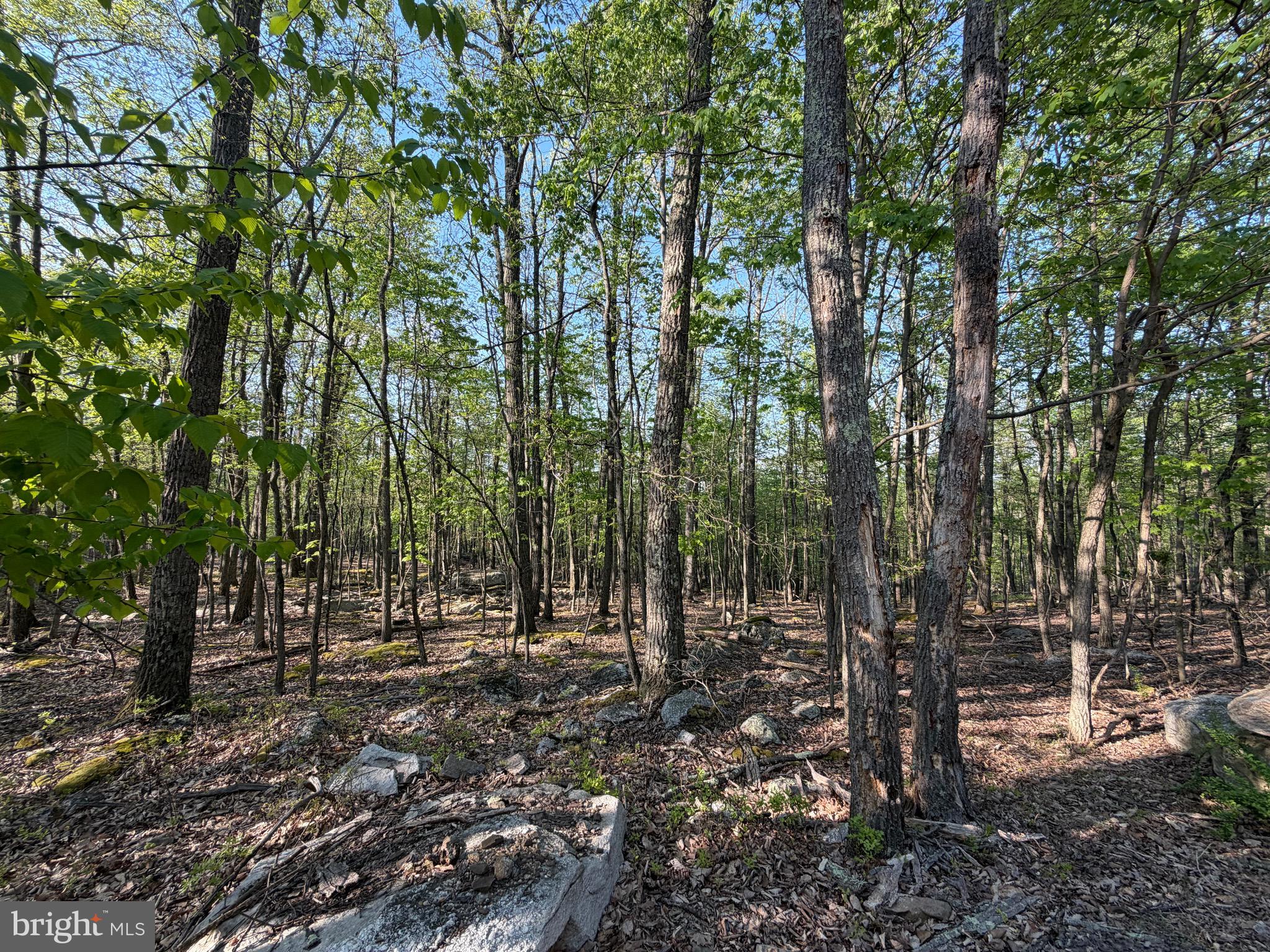 136 Spring Mountain Drive Zion Grove, PA 17985 - Photo 2 of 20