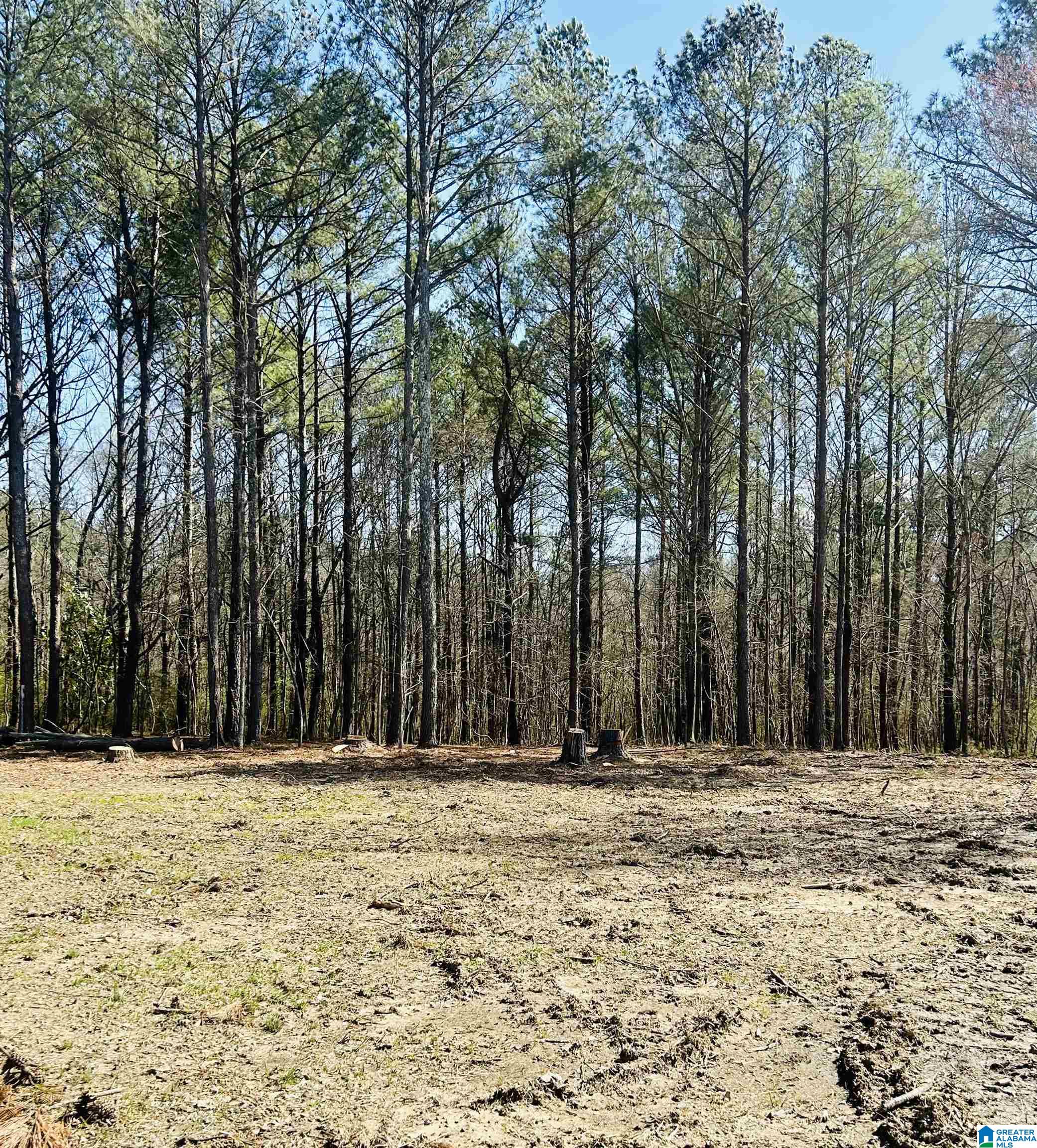 6357 Rocky Ford Road Gadsden, AL 35903 - Photo 13 of 18