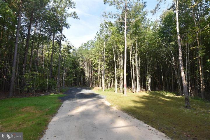 a view of outdoor space with garden