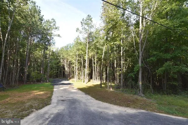 a view of outdoor space with trees