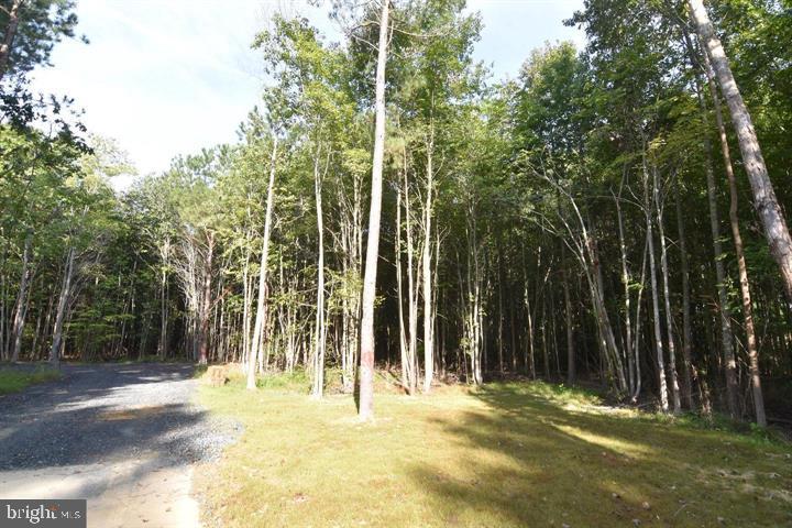 18465 Cherryfield Road Drayden, MD 20630 - Photo 6 of 6 a view of backyard with trees