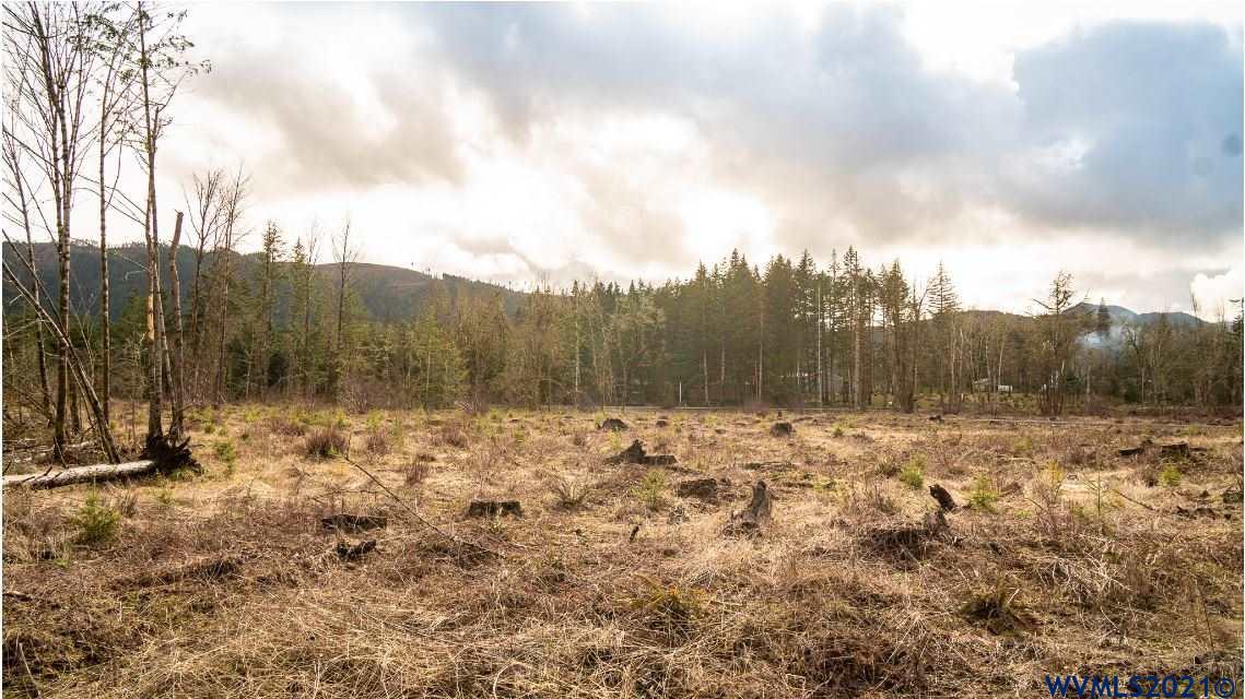 Gooseneck (parcel 289476) Road Sheridan, OR 97378 - Photo 22 of 23