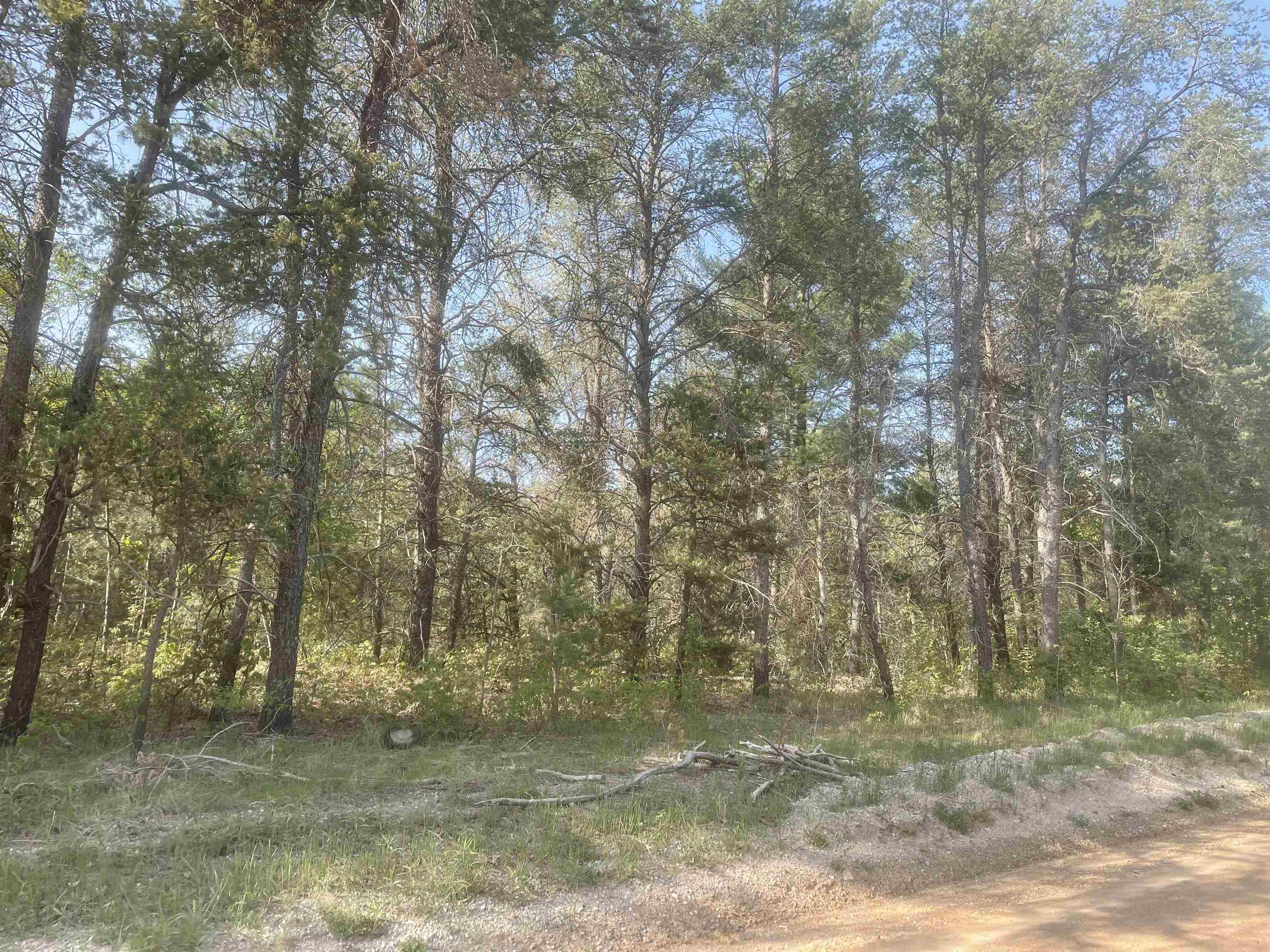 Lot B Betsie River Road Interlochen, MI 49643 - Photo 3 of 6 1909397-2.JPG