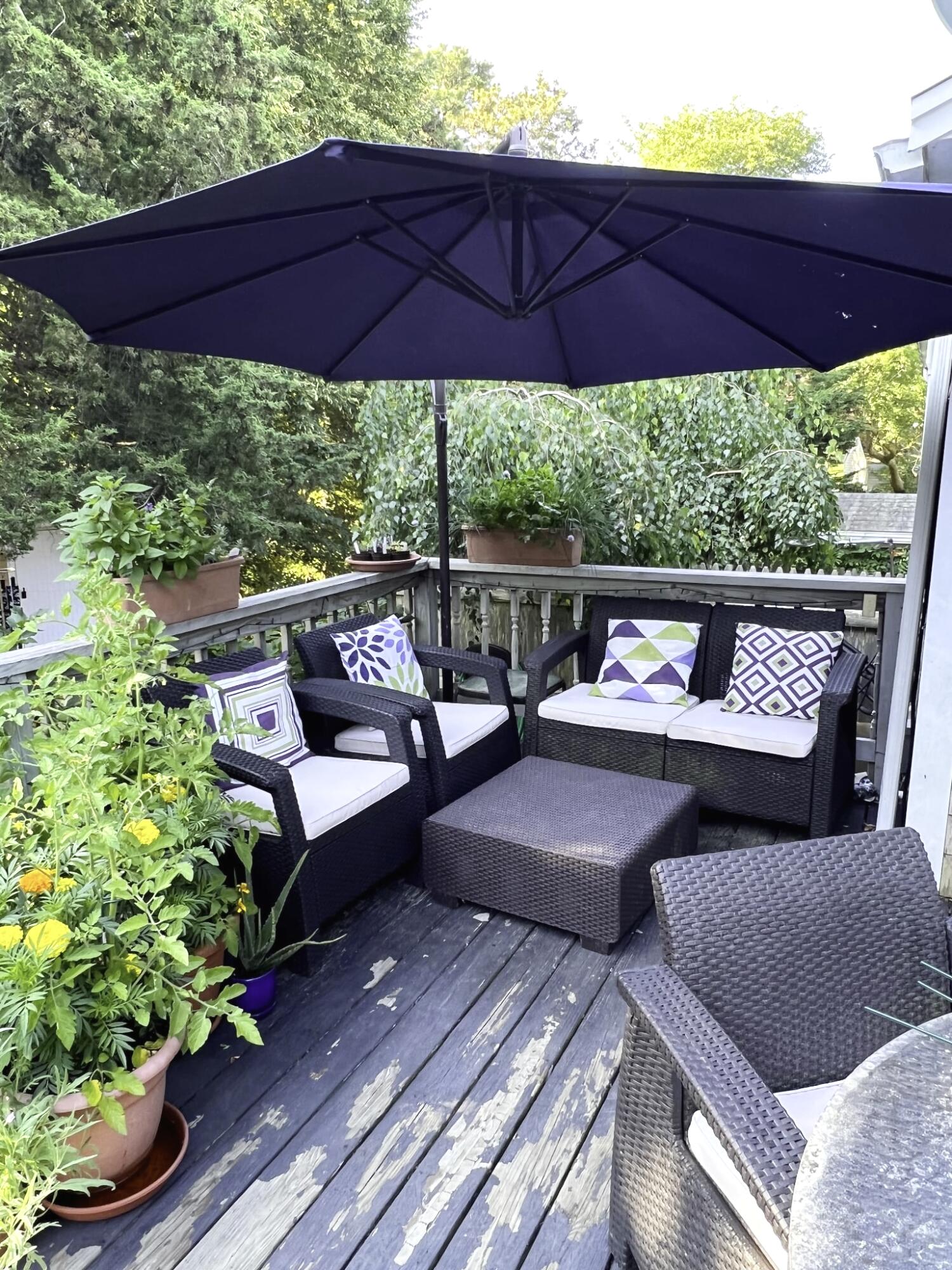 13 Allen Street Harwich, MA 02645 - Photo 7 of 31 a view of a patio with couches under an umbrella