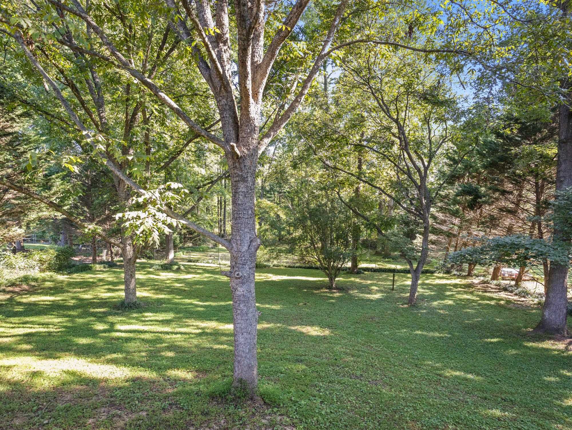 142 Hickory Hill Drive Inman, SC 29349 - Photo 28 of 31