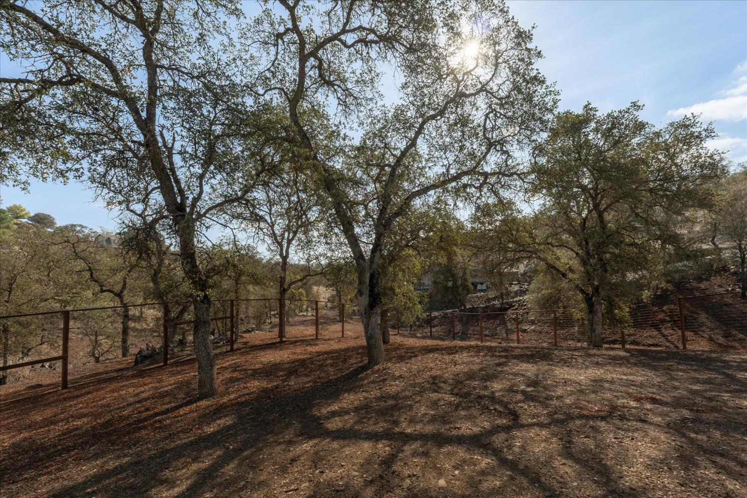 1284 Acorn Street Copperopolis, CA 95228 - Photo 41 of 62 a view of outdoor space with trees