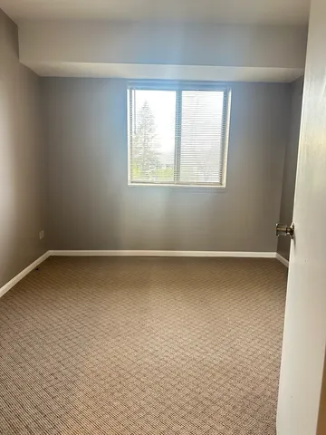 $1,650 | 1463 Mercury Drive, Unit 216, Schaumburg, IL 60193