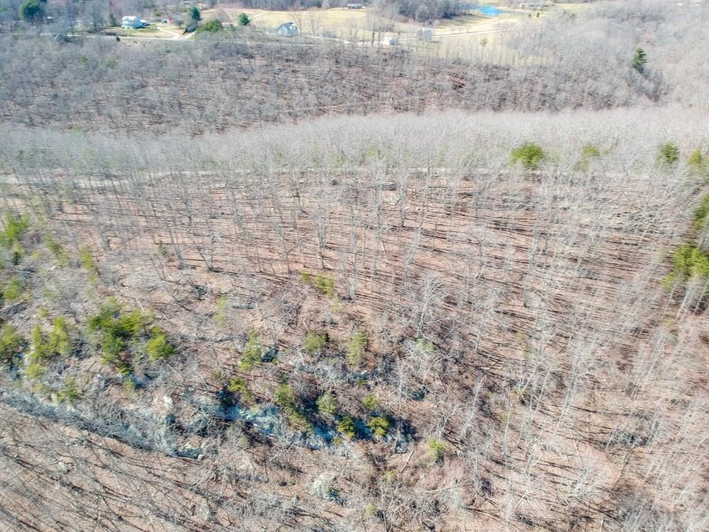 795 Highlander Road Grandview, TN 37337 - Photo 26 of 31 Gallery Image 26