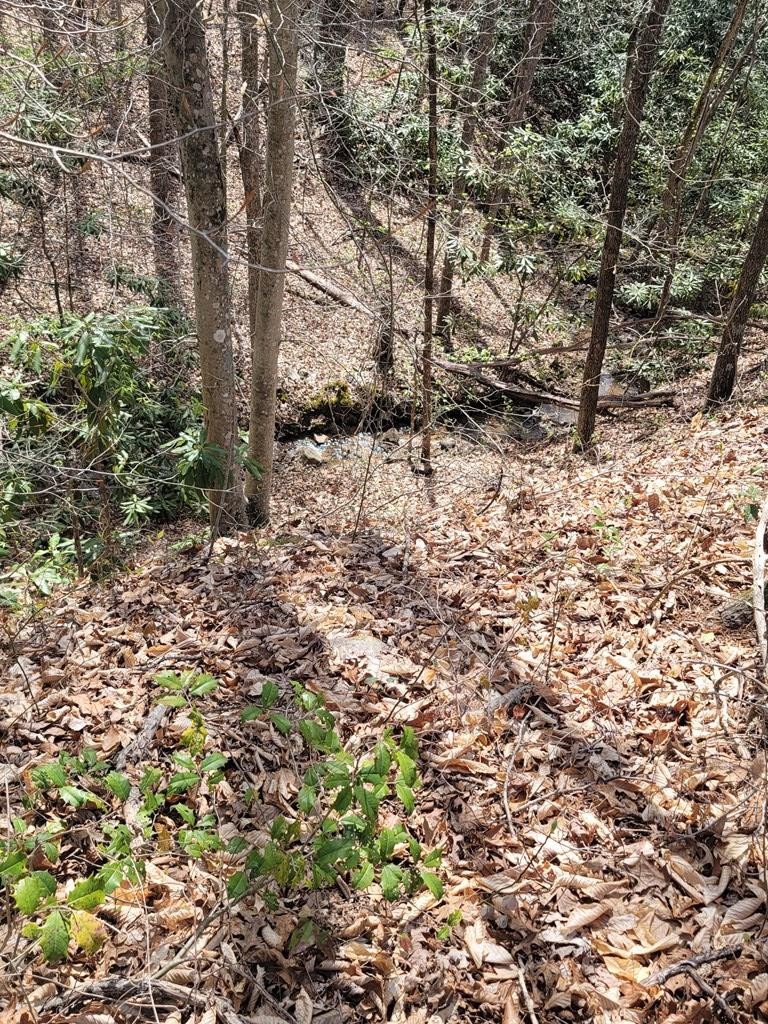 31 Butternut Lane Sevierville, TN 37876 - Photo 14 of 20
