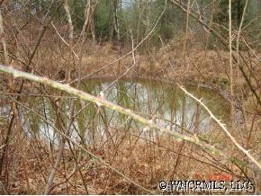 0 Hopis Branch Road Hot Springs, NC 28743 - Photo 2 of 12 a picture of a tree