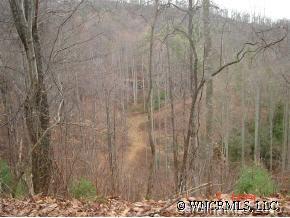 0 Hopis Branch Road Hot Springs, NC 28743 - Photo 11 of 12 a picture of a yard