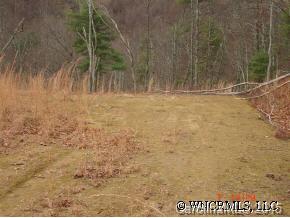 0 Hopis Branch Road Hot Springs, NC 28743 - Photo 12 of 12 a view of open area with green space