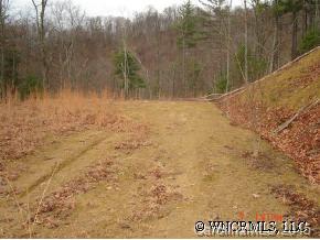 0 Hopis Branch Road Hot Springs, NC 28743 - Photo 4 of 12 a view of a yard