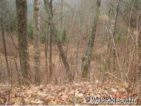 0 Hopis Branch Road Hot Springs, NC 28743 - Photo 7 of 12 a picture of a tree