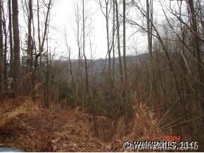 0 Hopis Branch Road Hot Springs, NC 28743 - Photo 8 of 12 a view of forest