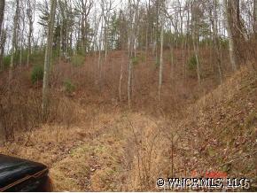 0 Hopis Branch Road Hot Springs, NC 28743 - Photo 9 of 12