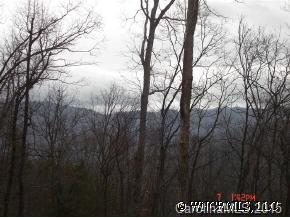 0 Hopis Branch Road Hot Springs, NC 28743 - Photo 10 of 12
