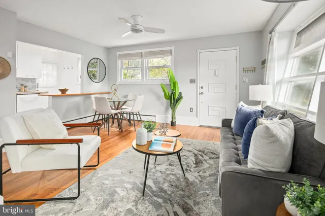 a living room with furniture and a potted plant