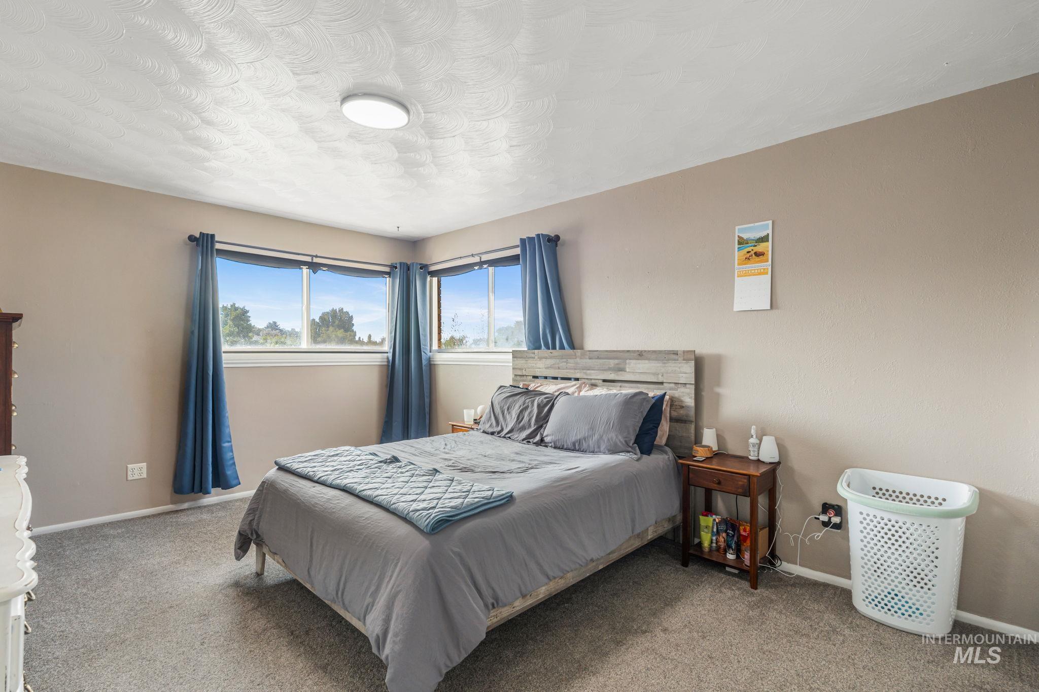 816 Park Lane Pocatello, ID 83201 - Photo 20 of 48 Carpeted bedroom with baseboards and a textured ceiling