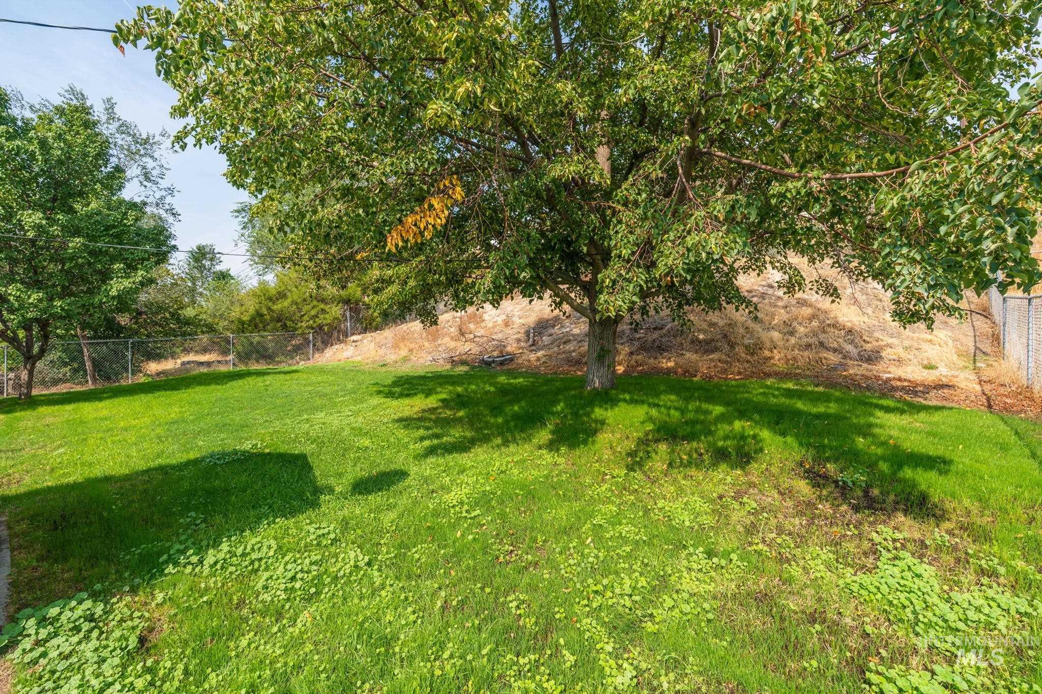 816 Park Lane Pocatello, ID 83201 - Photo 39 of 48 View of yard