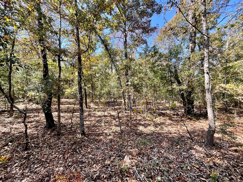 88 Wheeler Rogers Road Rupert, GA 31081 - Photo 41 of 73 Gallery Image 41