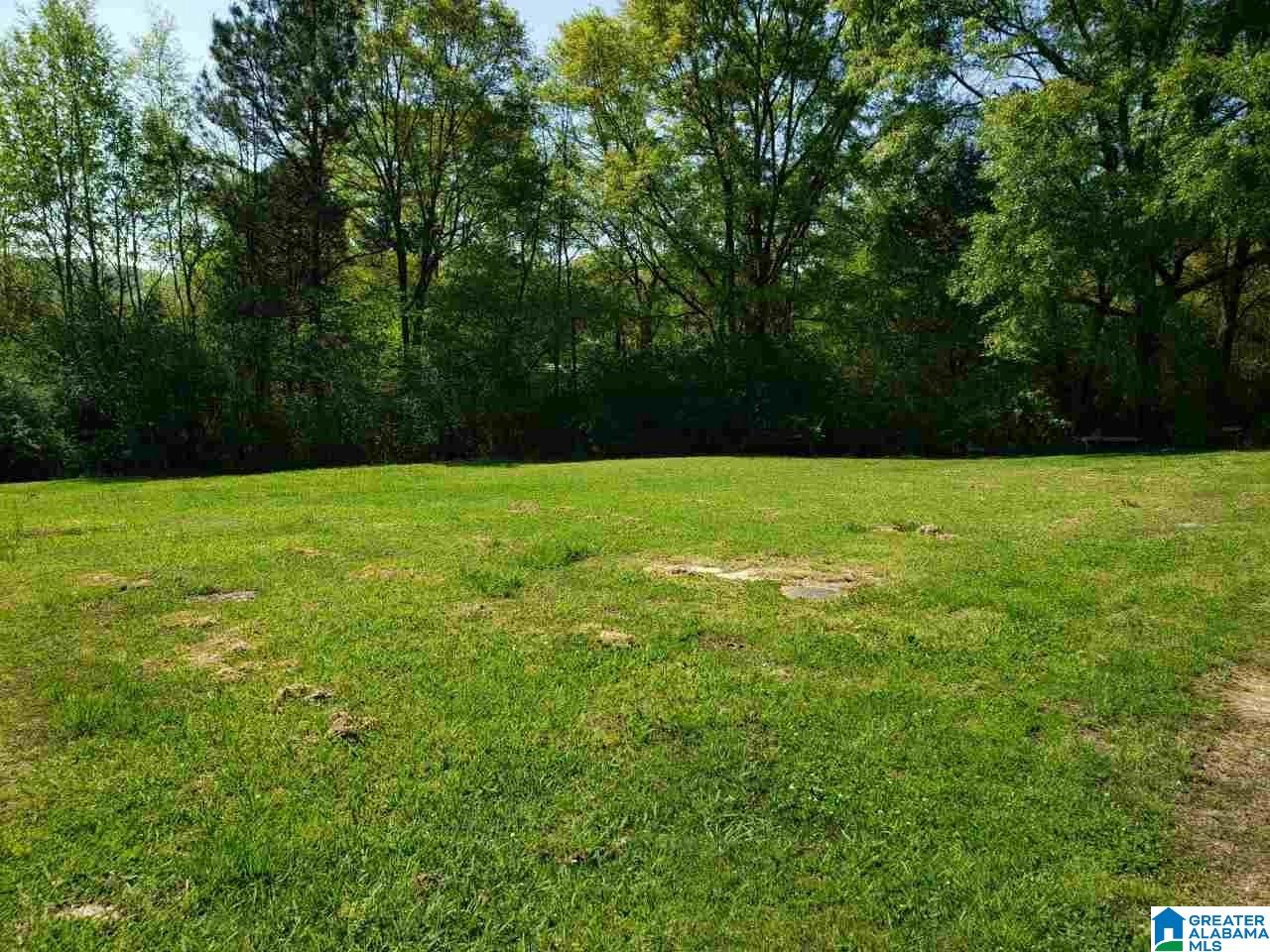 2880 Highway 132, Unit TRACT #1 Oneonta, AL 35121 - Photo 1 of 1