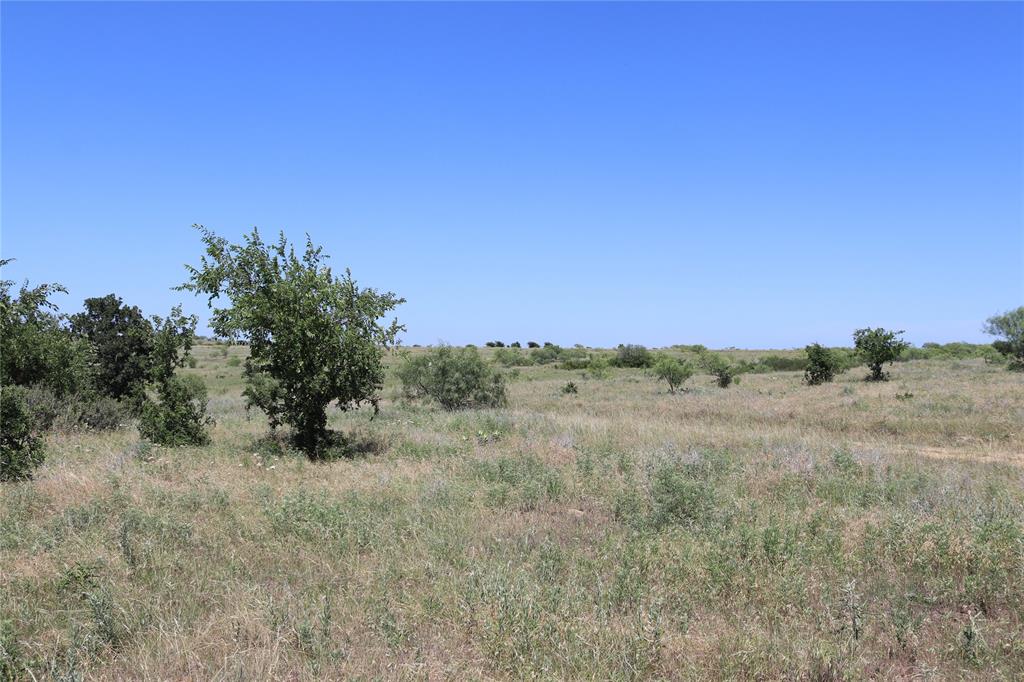 1878 Feed Road Bellevue, TX 76228 - Photo 7 of 23