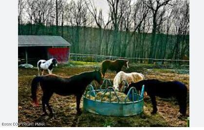 675 Whippoorwill Drive Bushkill, PA 18324 - Photo 48 of 48 Horseback riding stables