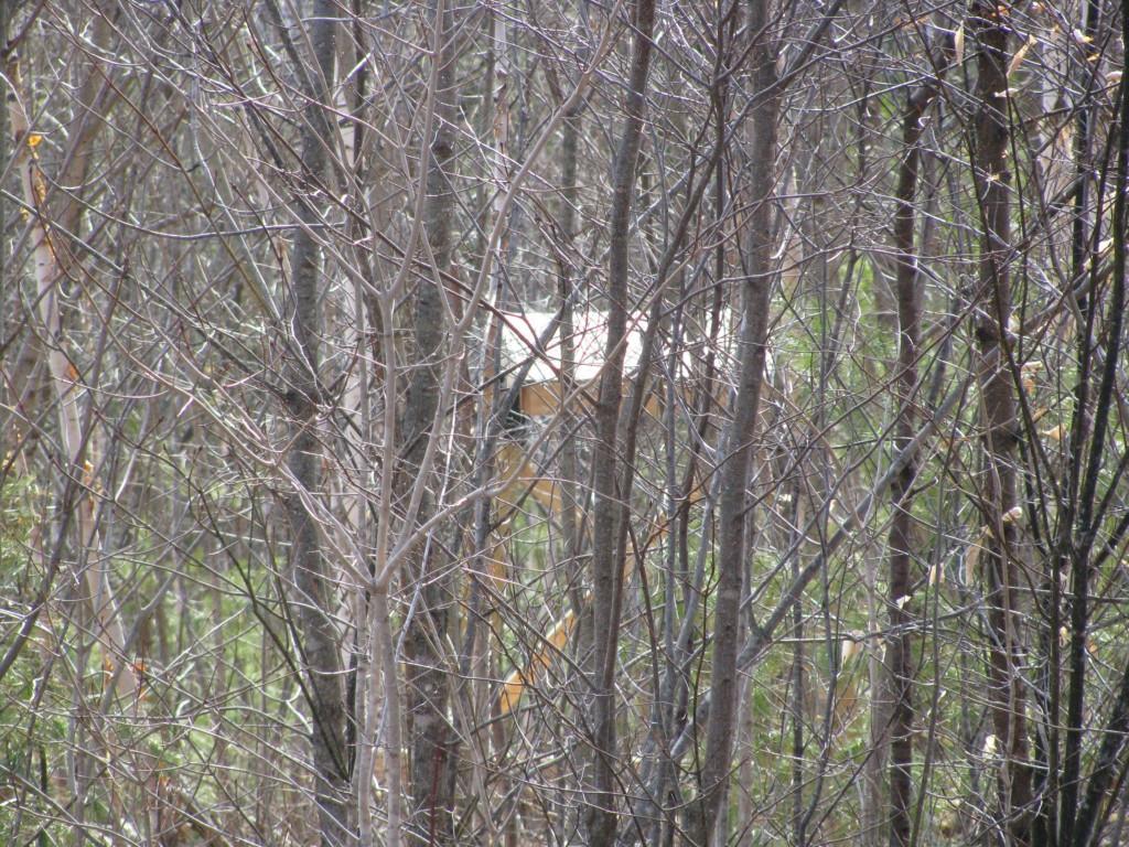 1289 West Side Road Weld, ME 04285 - Photo 11 of 12 Photo