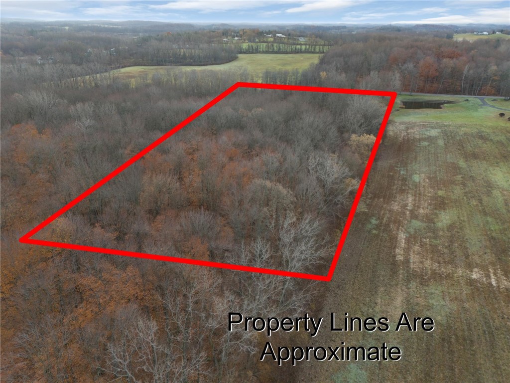 1 Eddy Road Macedon, NY 14502 - Photo 4 of 6