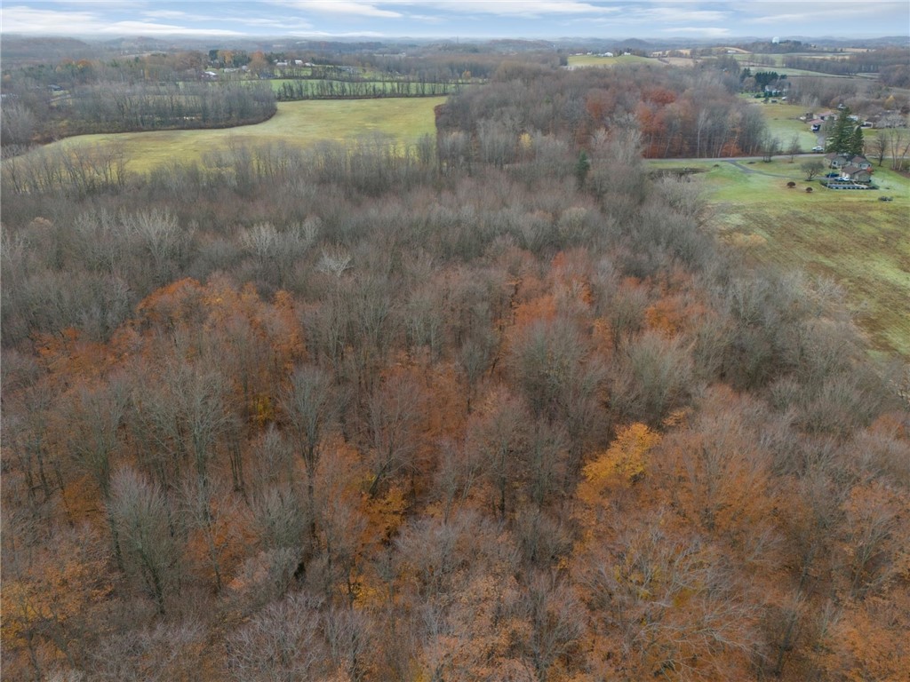 1 Eddy Road Macedon, NY 14502 - Photo 5 of 6