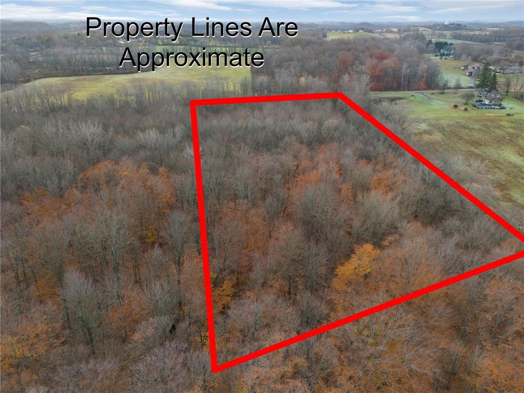 1 Eddy Road Macedon, NY 14502 - Photo 6 of 6