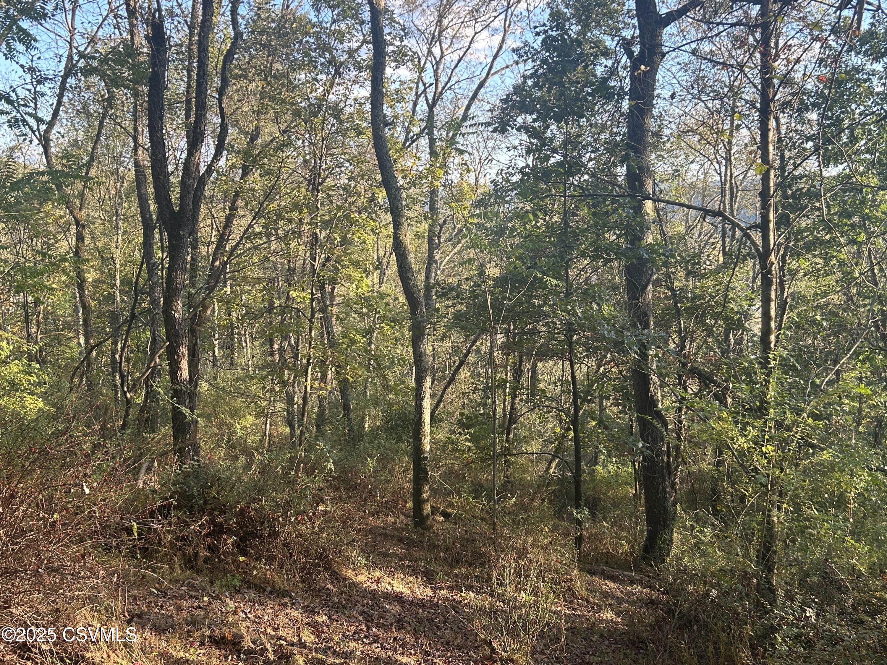 Ridge Road Cogan Station, PA 17728 - Photo 5 of 11