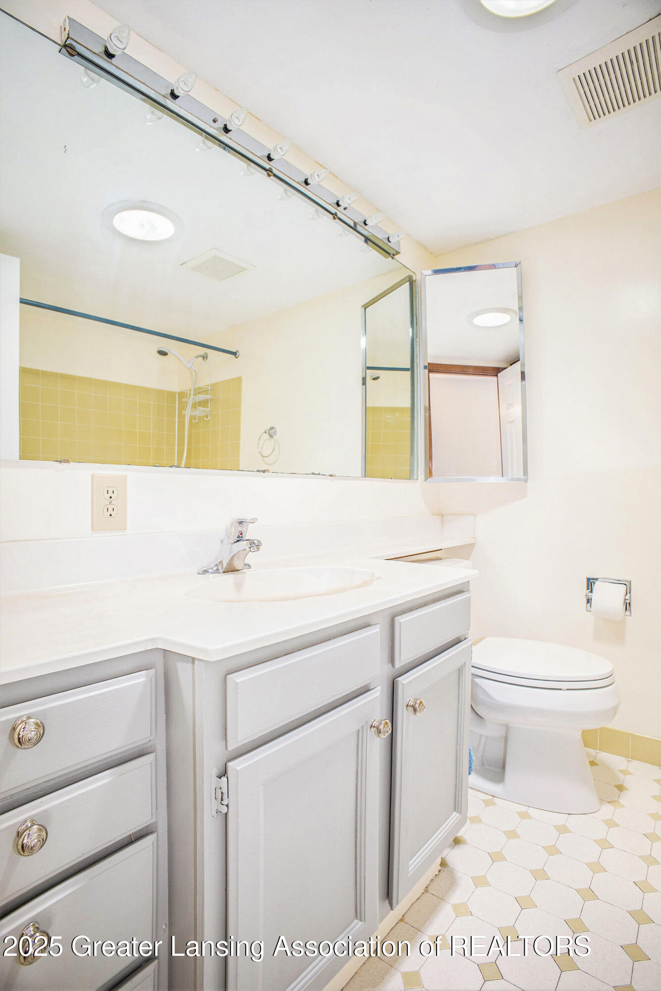 6379 Foster Road Haslett, MI 48840 - Photo 23 of 34 6379 Foster. Full Bathroom