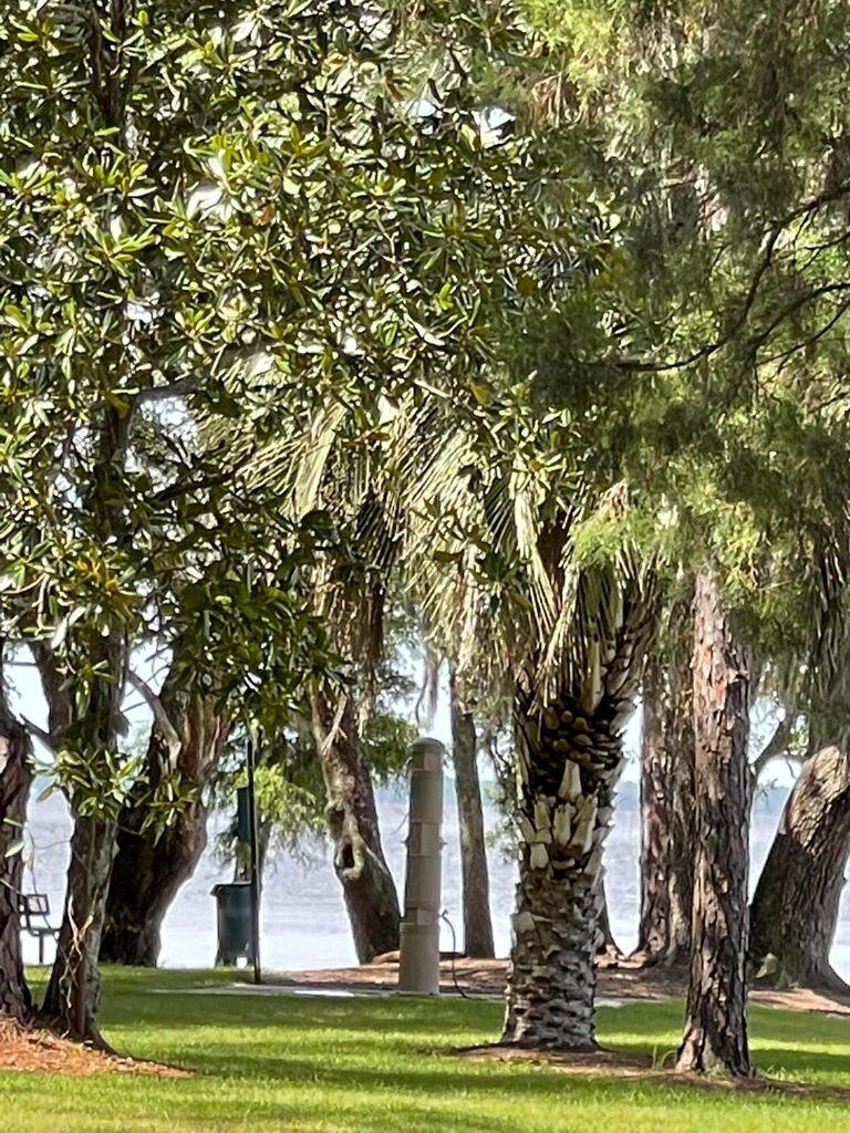 107 Mosaic Oaks Circle Santa Rosa Beach, FL 32459 - Photo 45 of 46 a view of outdoor space and yard